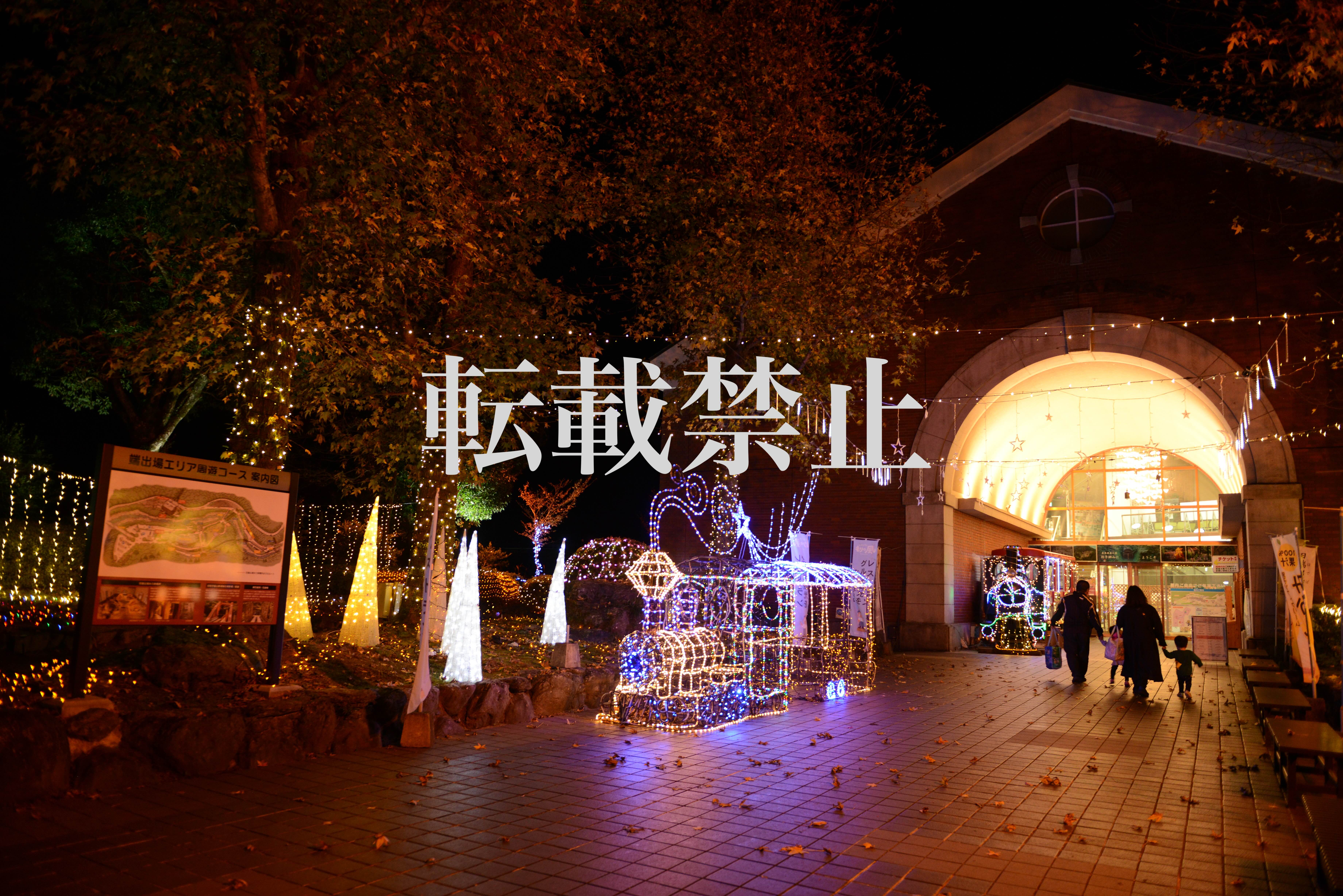 Selected Work: "Empty Wisteria Trellis"