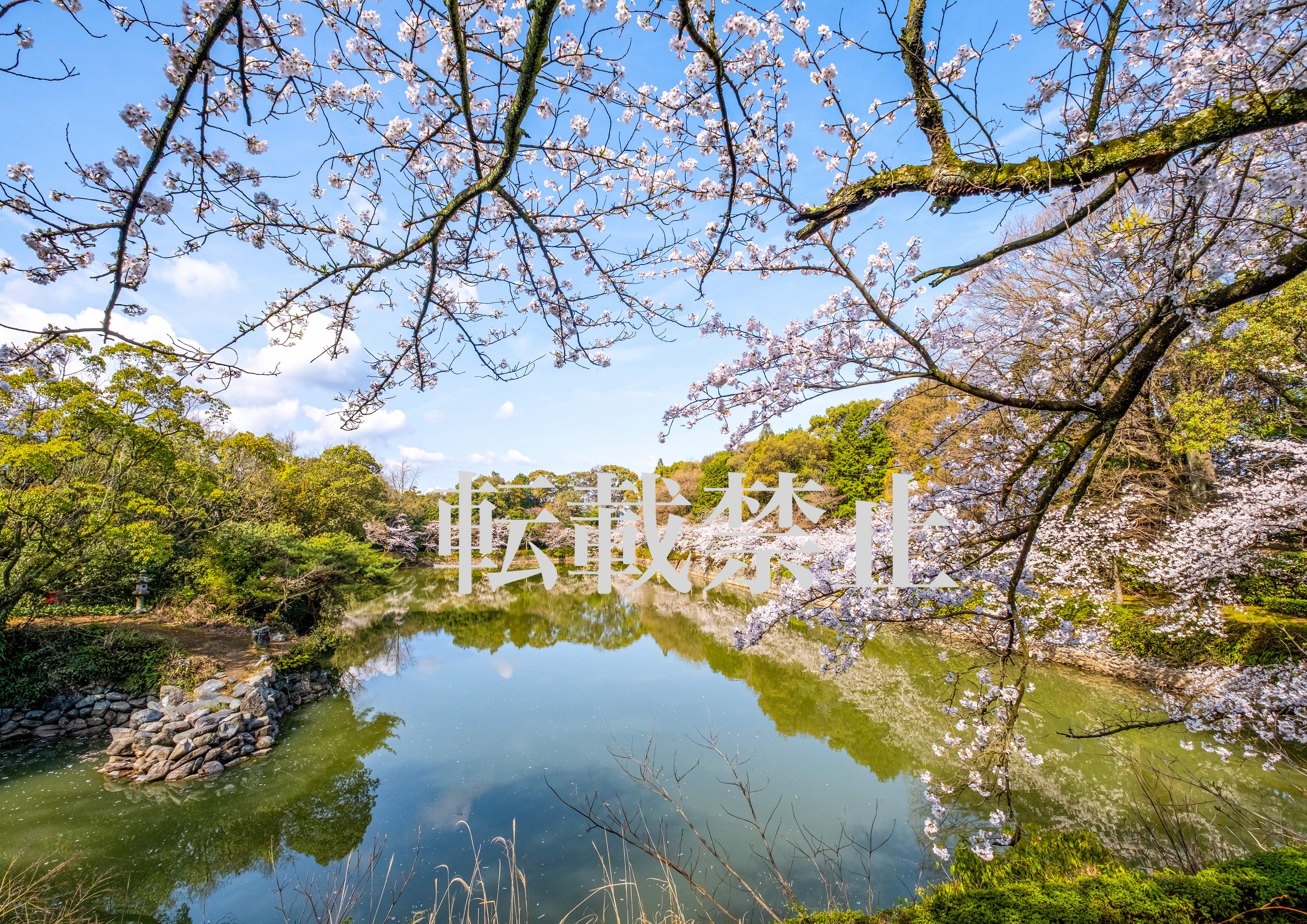 Bronze Award "Yose Taiko in Tokyo Dome"
